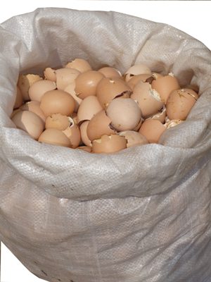 Яєчна шкаралупа, як джерело кальцію, практично не має собі рівних за своїми властивостями