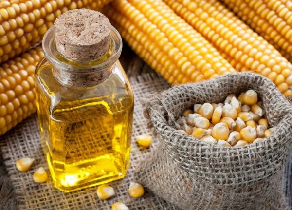 Причому кукурудзяна олія впливає саме на «шкідливий» холестерин, що є прекрасною профілактикою виникнення холестеринових бляшок на стінках судин