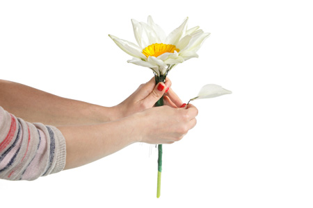 Навколо головки квітки по колу розташуйте заготовлені пелюстки лілії